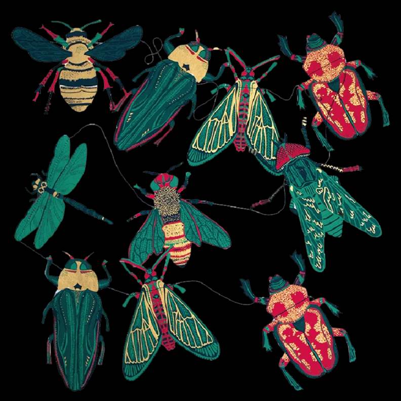 Insects Cotton Paper Garland