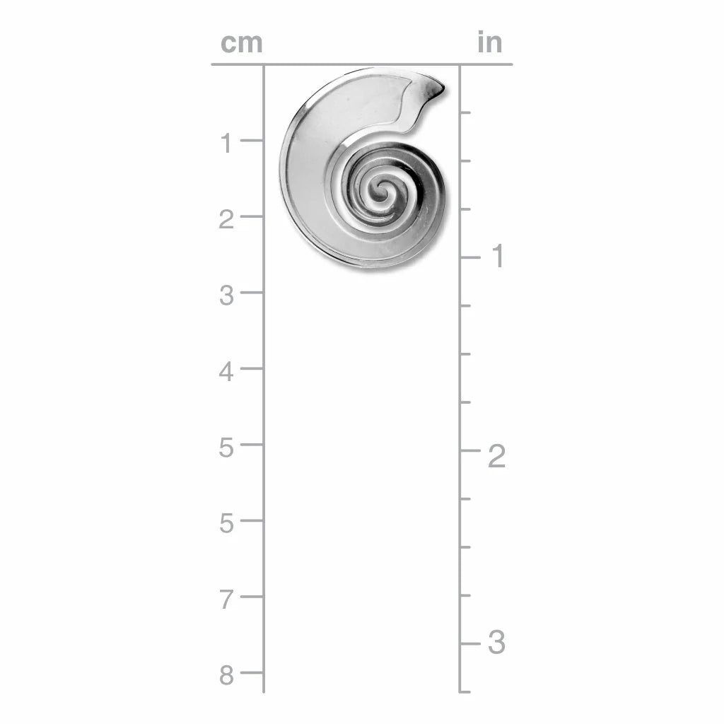 Ammonite Shell Metal Earrings