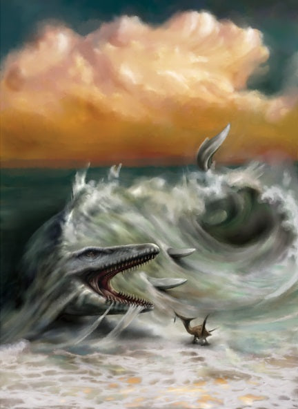 Mosasaurus EFM Notebook