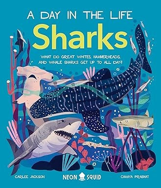 A Day in the Life: Sharks