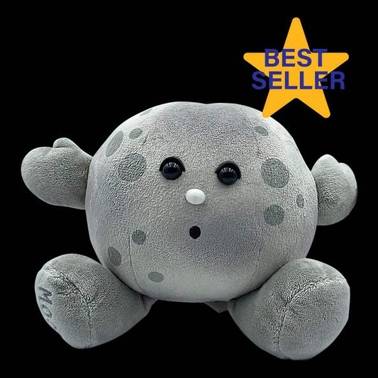 Moon Buddy Plush