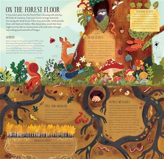 Build a Tree