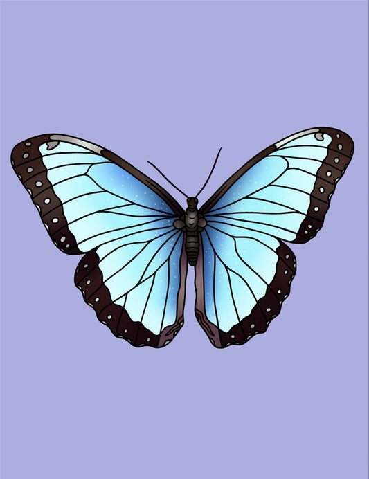 Butterfly Blank Greeting Card