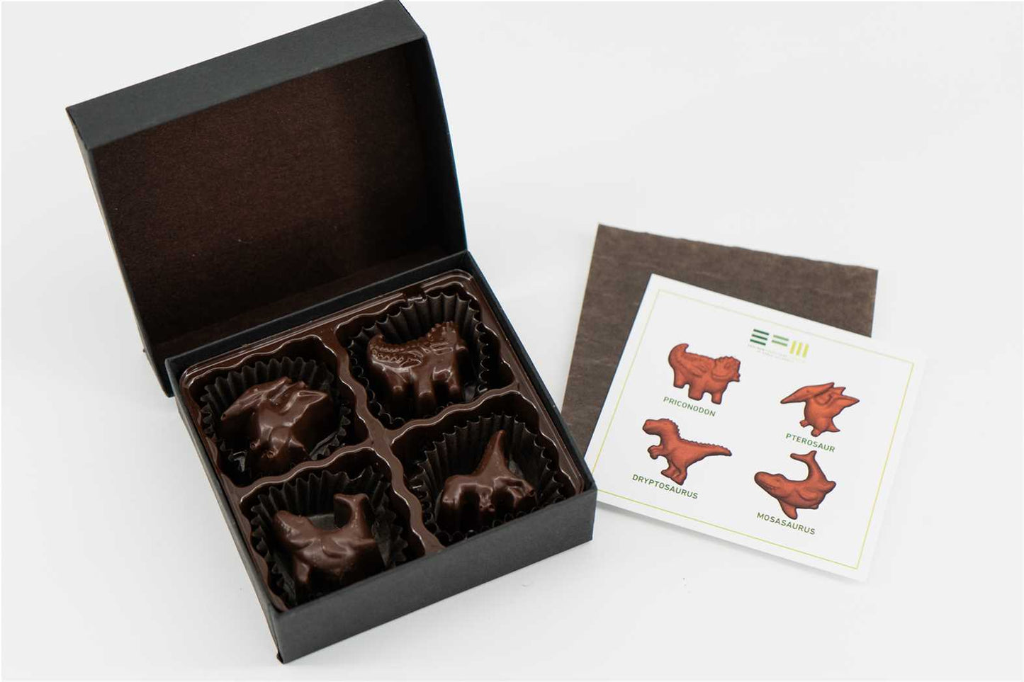 EFM Dino Chocolates