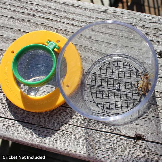 World's Best Bug Jar