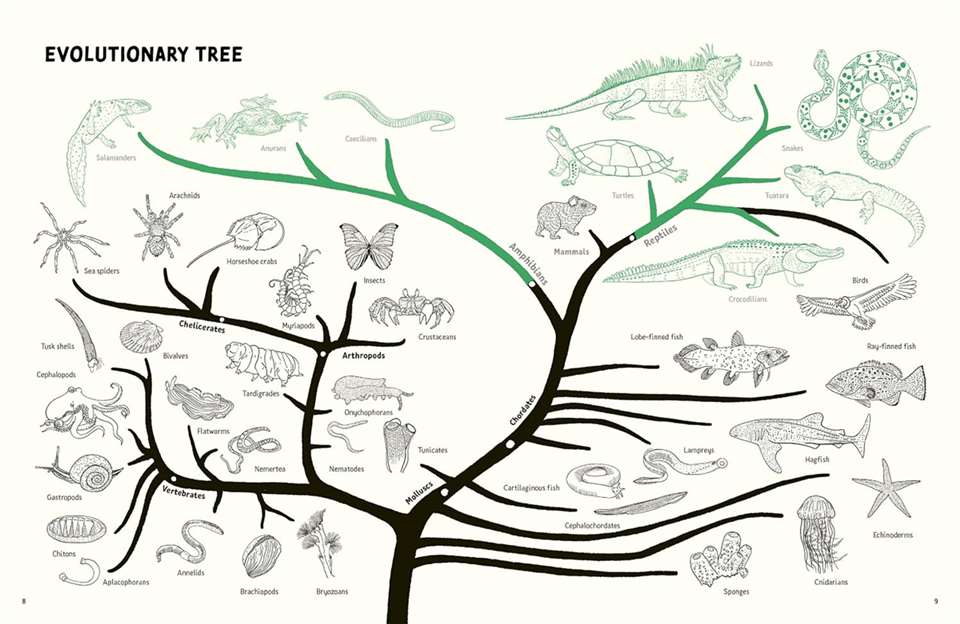 Reptiles and Amphibians of the Americas