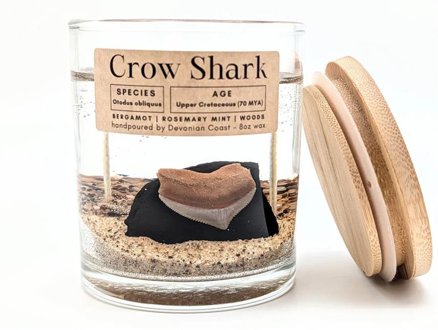 Crow Shark Tooth Candle