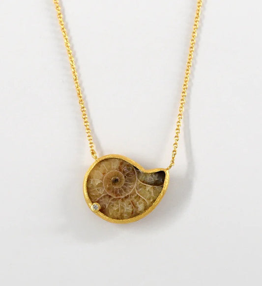 Ammonite Fossil Necklace w/Gold Plating