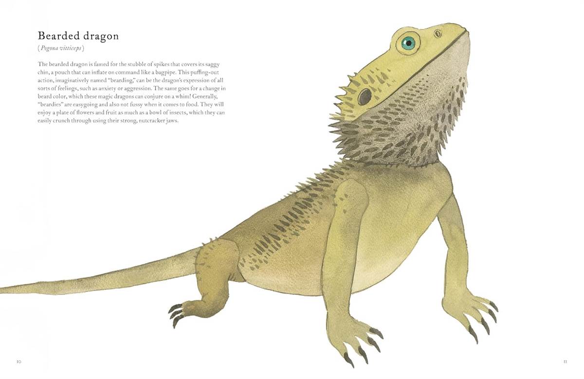 The Colorful World of Reptiles