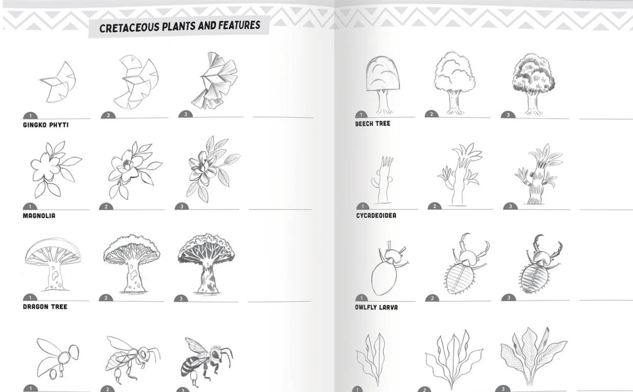 Learn to Draw: Dinosaurs