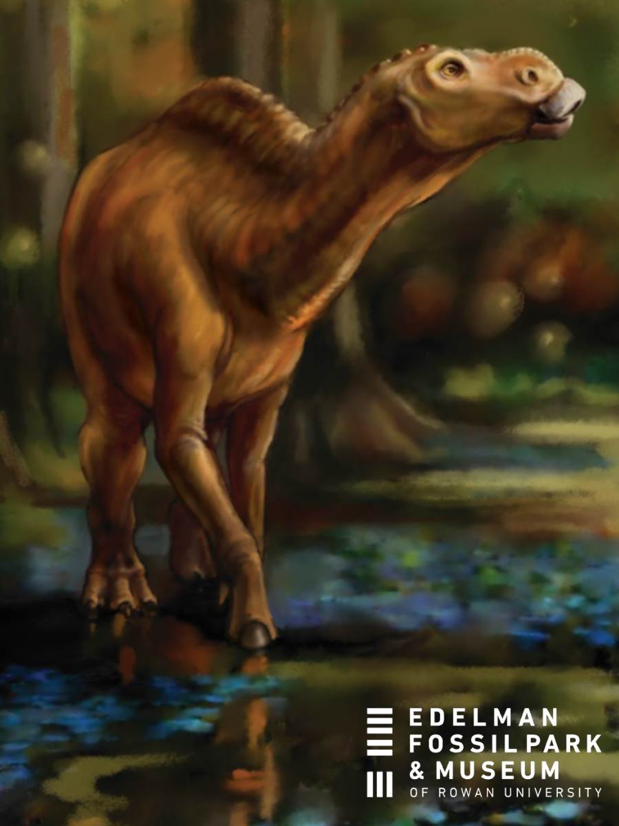 Hadrosaurus Sticker