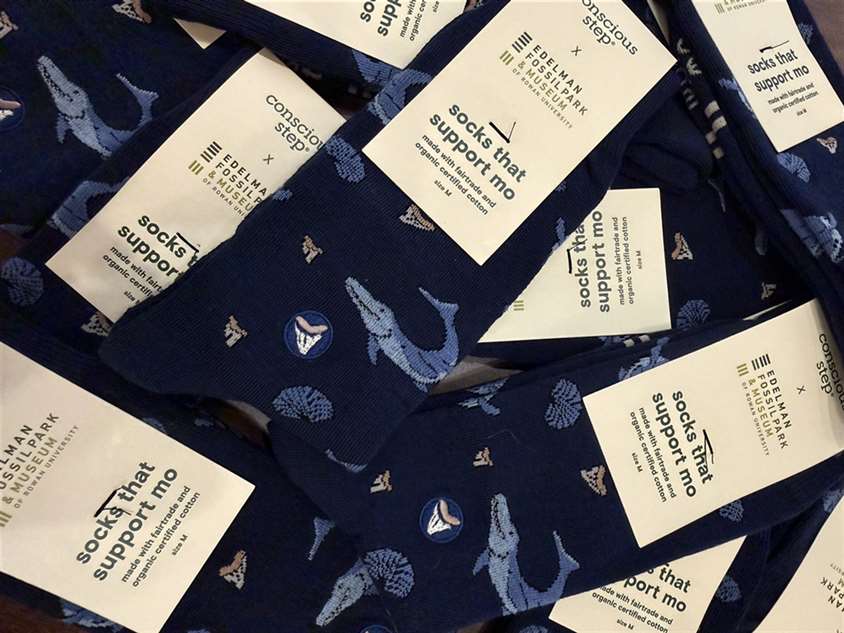 EFM Mosasaurus Socks