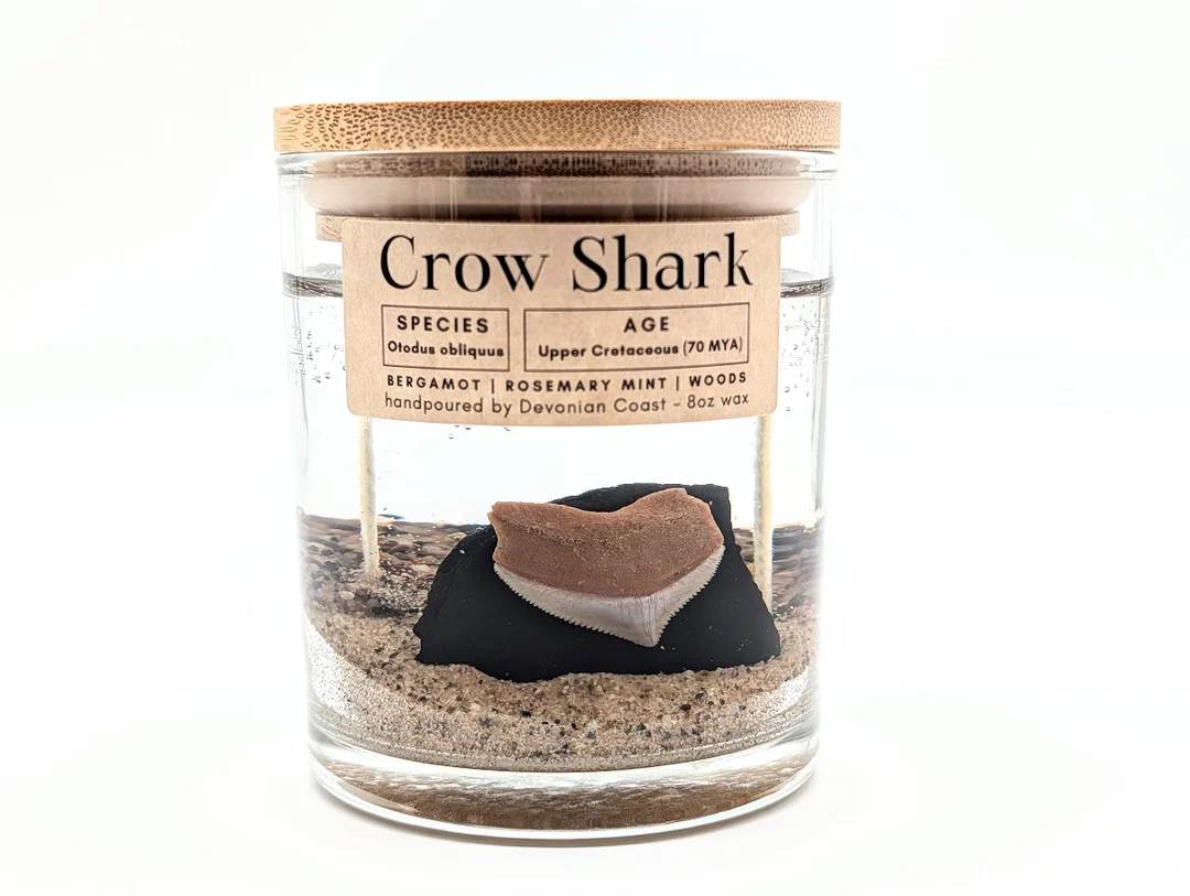 Crow Shark Tooth Candle