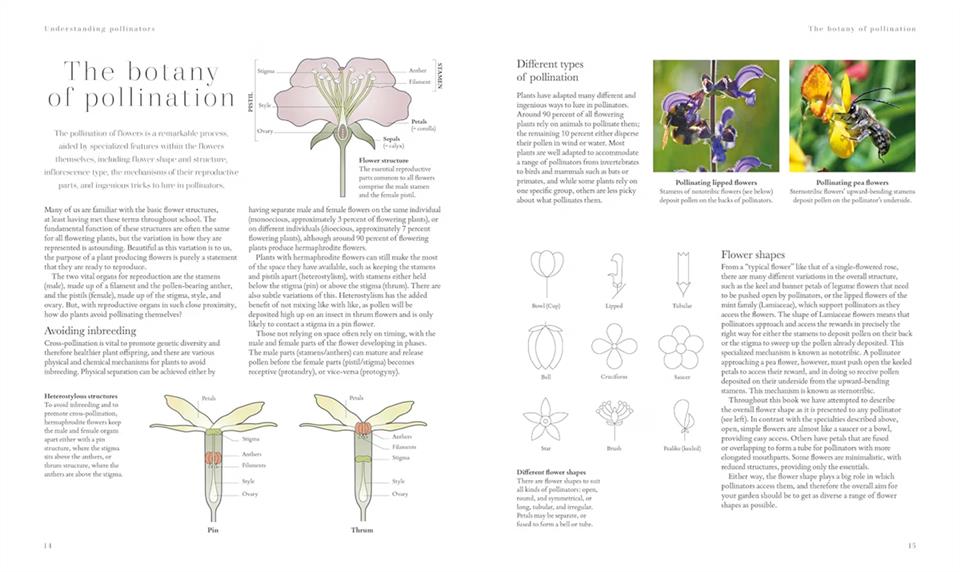Plants for Pollinators: Create a Pollinator-Friendly Haven with More than 200 Flowering Plants