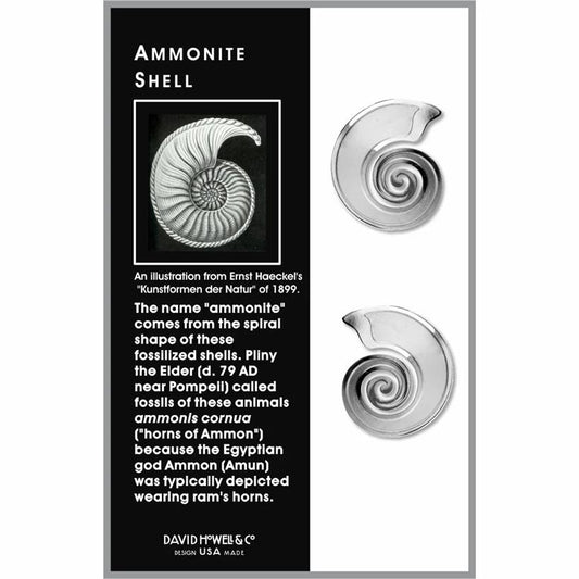 Ammonite Shell Metal Earrings
