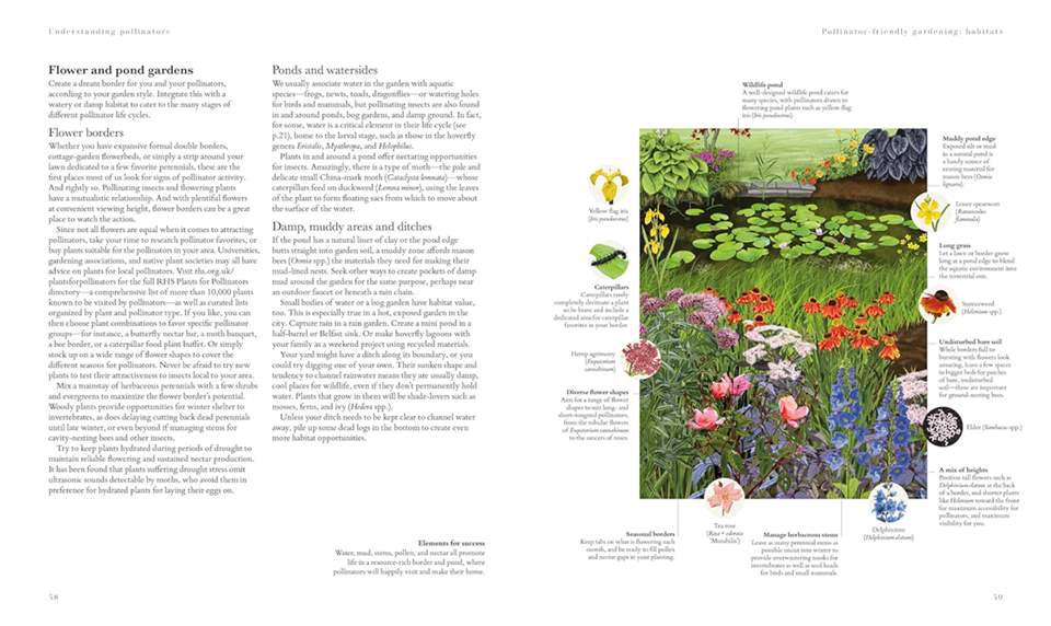 Plants for Pollinators: Create a Pollinator-Friendly Haven with More than 200 Flowering Plants