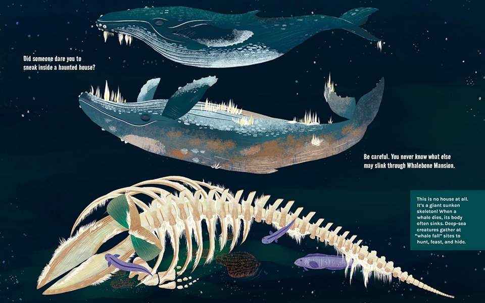 Welcome to Whalebone Mansion: Creatures that Lurk at a Whale Fall
