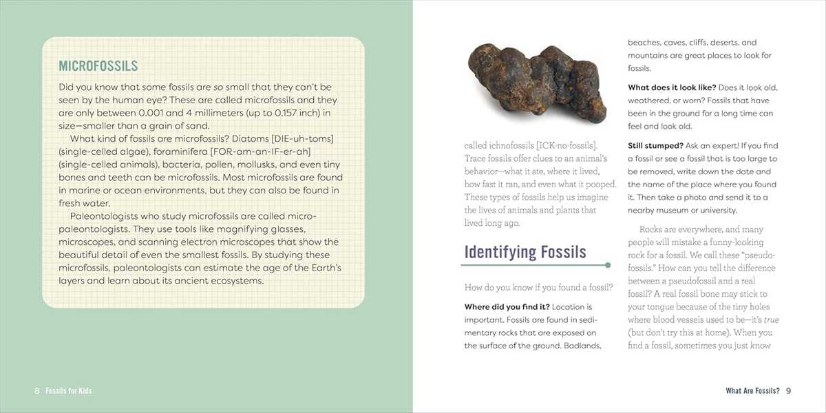 Fossils for Kids: A Junior Scientist's Guide to Dinosaur Bones, Ancient Animals, and Prehistoric Life on Earth