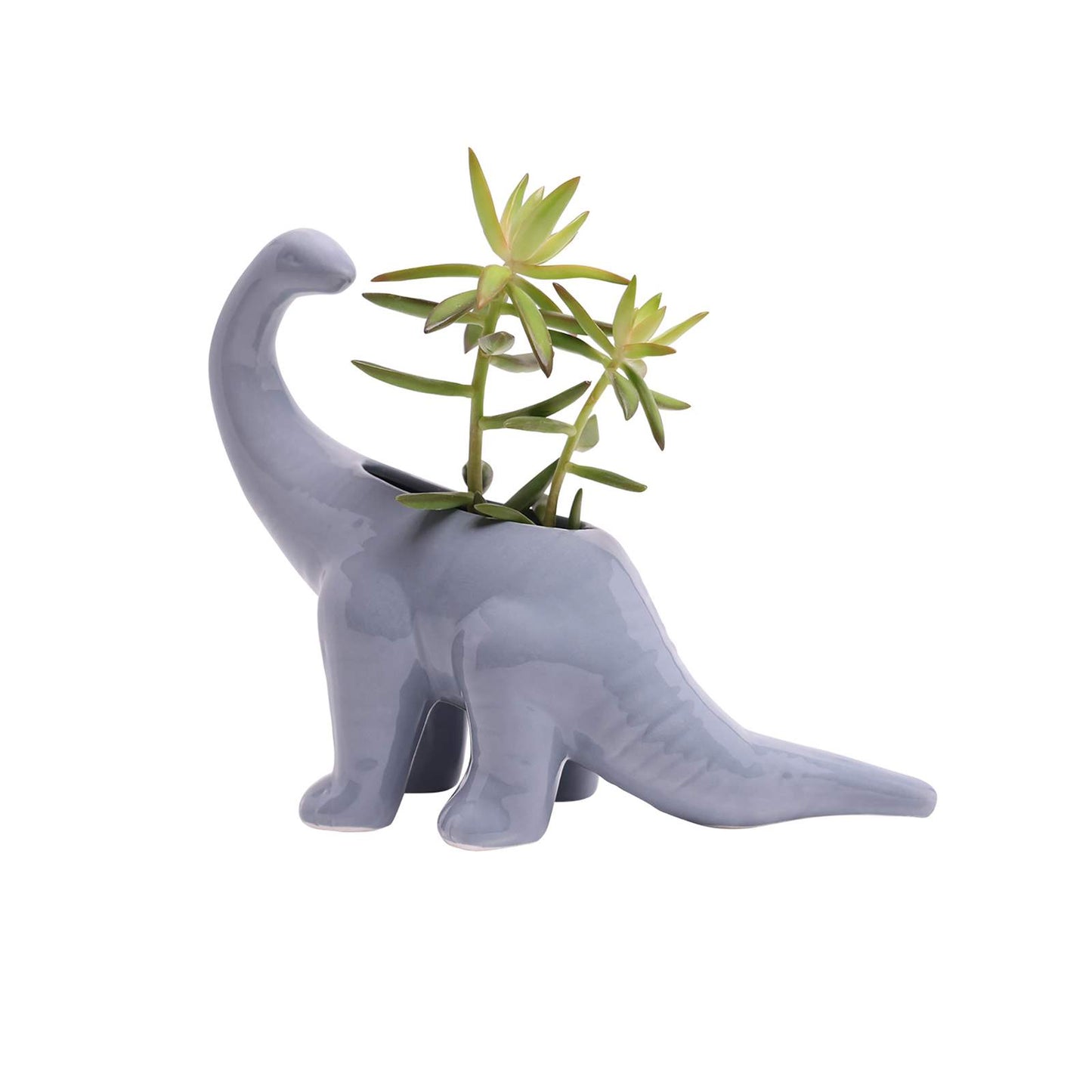 Cloud Blue Brontosaurus Planter