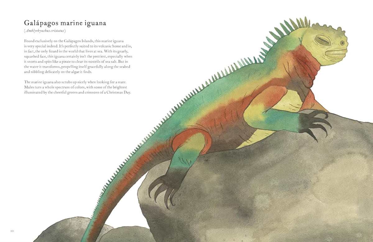 The Colorful World of Reptiles